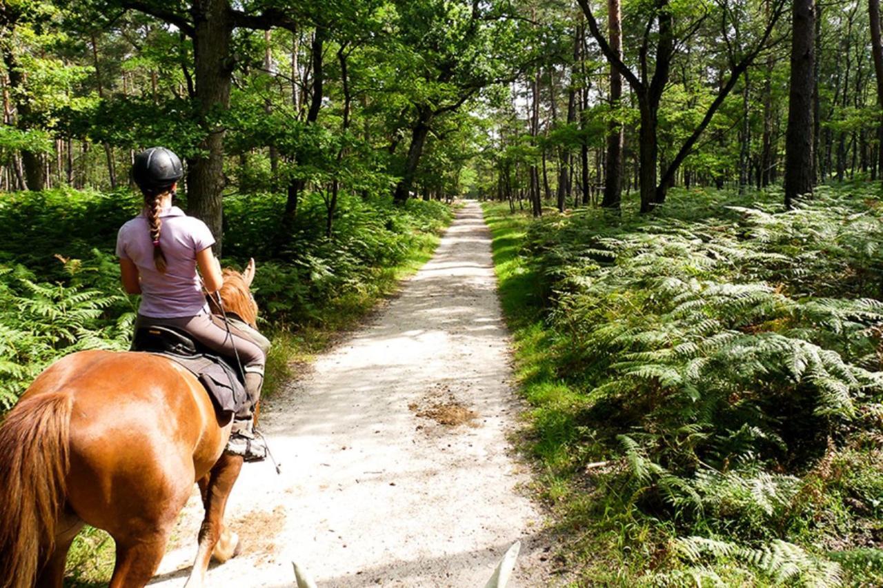 Millygite Roulotte - 4 Seasons Chalet-On-Wheels 외부 사진